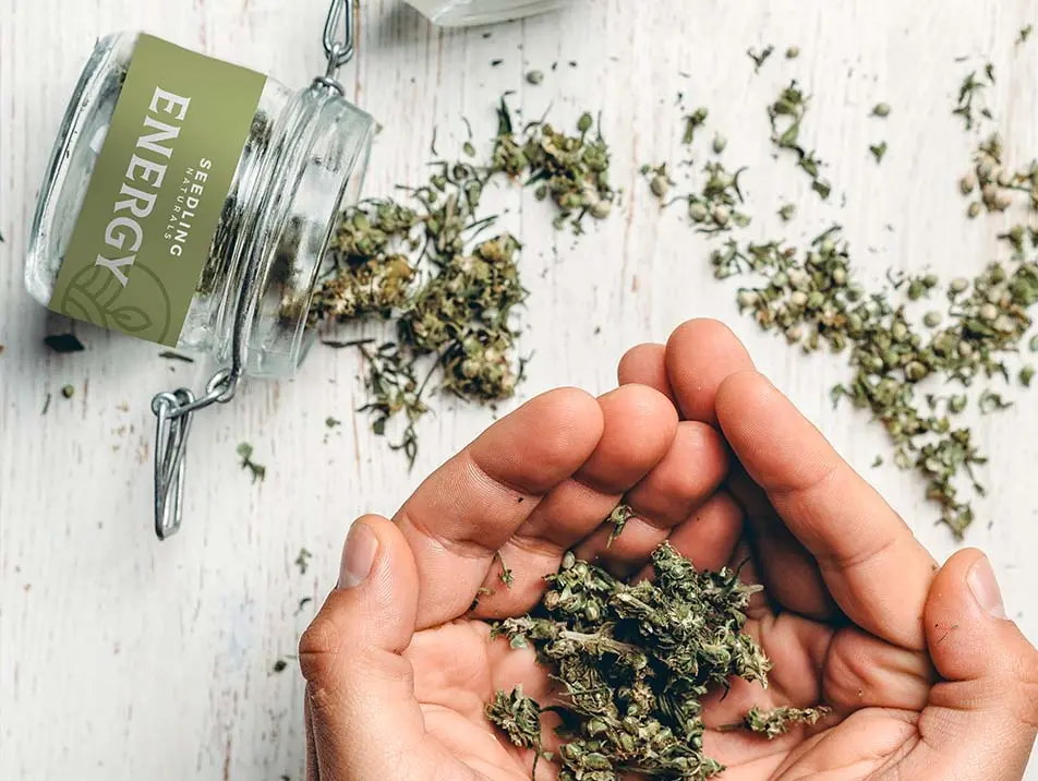 cannabis-idea-book