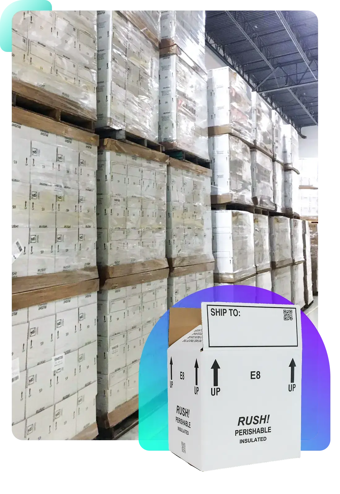 cold-chain-logistics