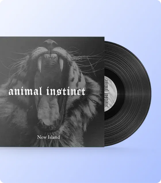Custom printed record sleeve designed for music packaging and product presentation