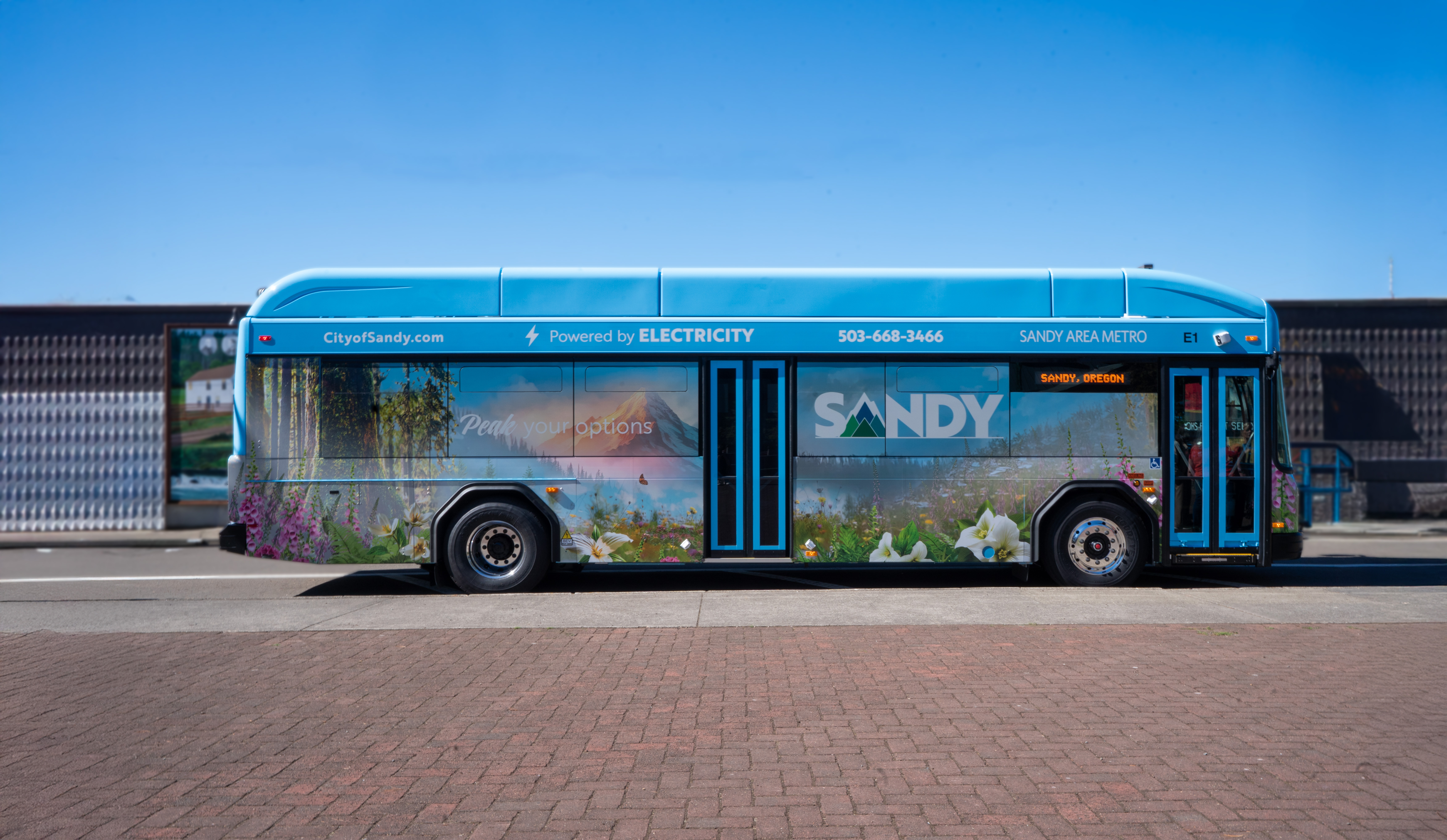Featured image for post: Custom Bus Wraps Become Community Showpieces