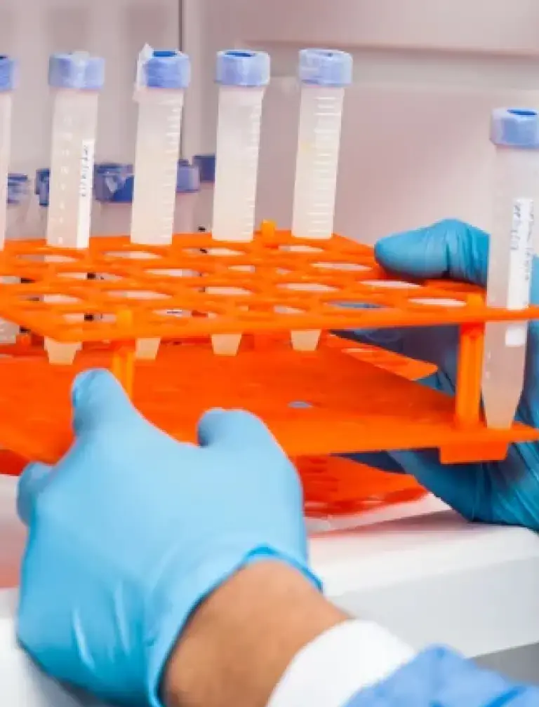 sustainable-cold-chain-solutions
